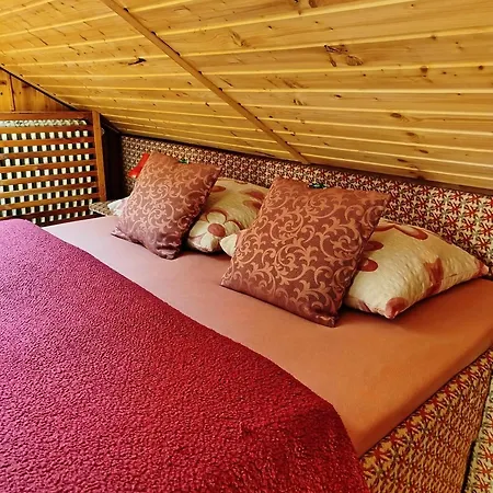 Guest house Nika 3*
