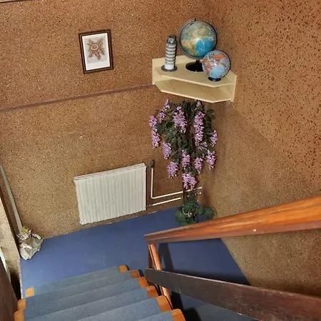 Guest house Nika 3*