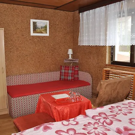 Guest house Nika 3*