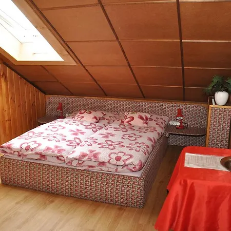 Guest house Nika 3*