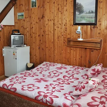 Guest house Nika