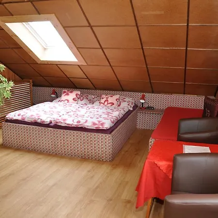 Guest house Nika