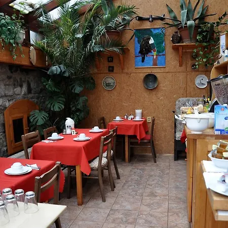 Guest house Nika 3*